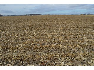 Property photo 19 - LAND AUCTION - 276.5+/- ACRES OFFERED IN 5 TRACTS IN EAST ALLEN COUNTY